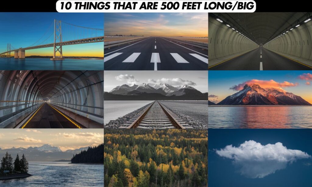 10 Things That Are 500 Feet LongBig