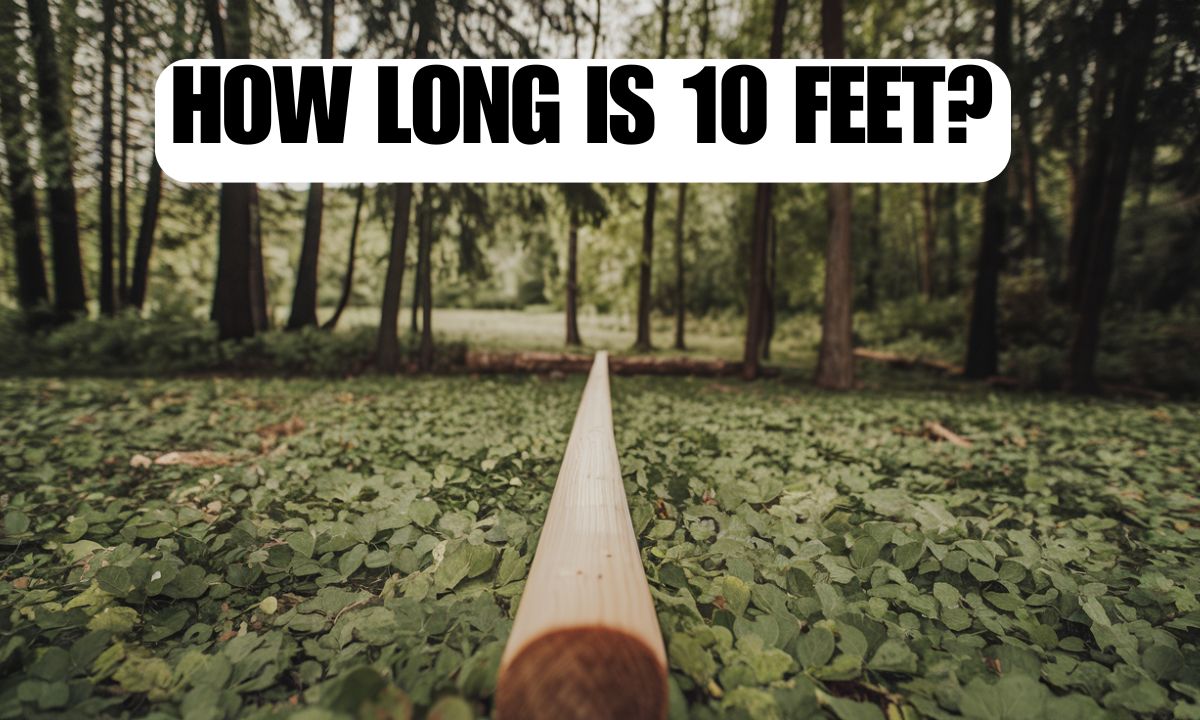 How Long is 10 Feet